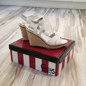 Ivory Wedges